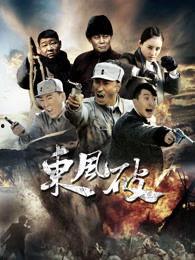 电视剧东风破在线观看,穿越时空的浪漫传奇  第1张